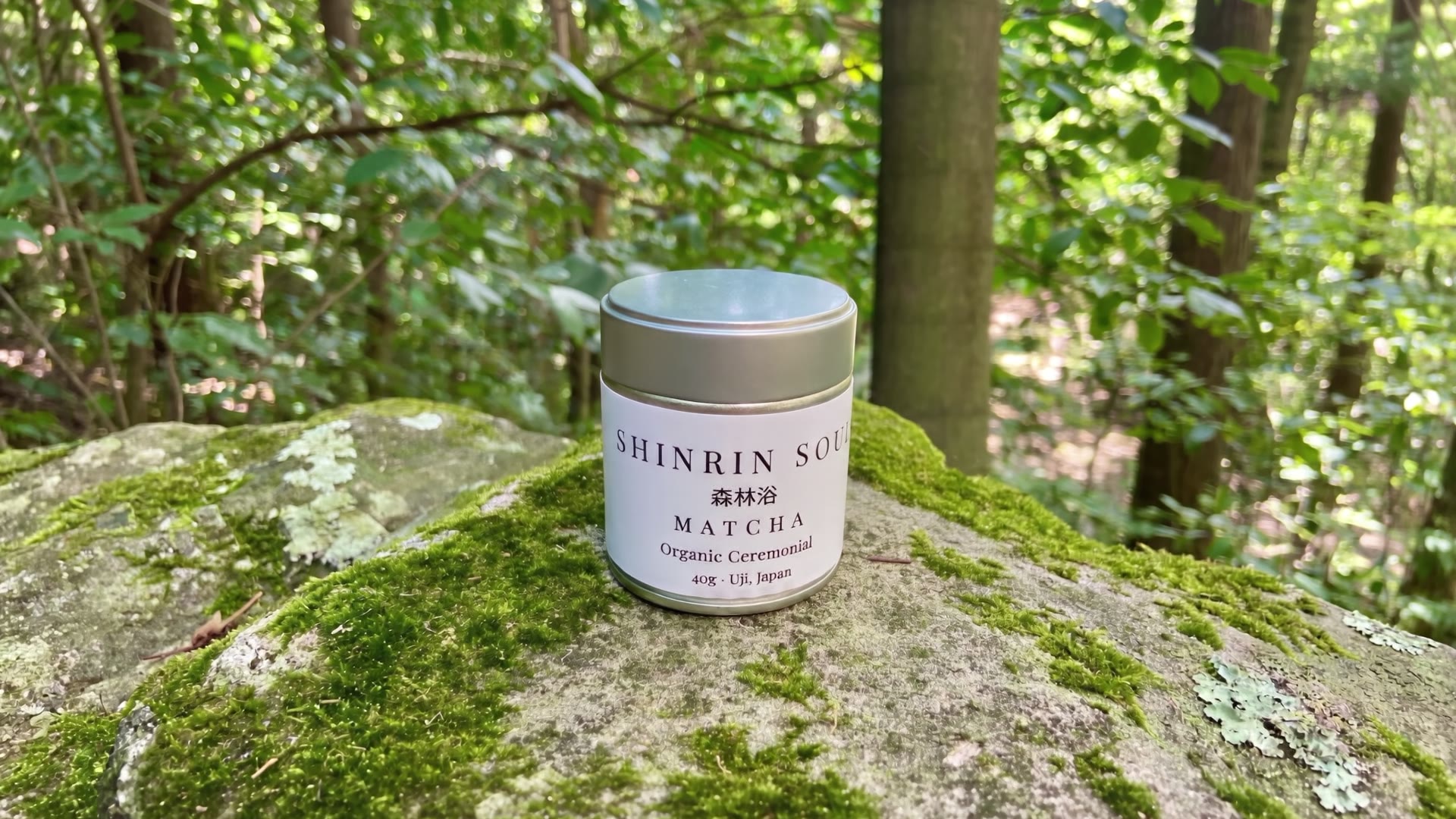 Shinrin Soul organic ceremonial matcha tin on a moss covered rock in the forest